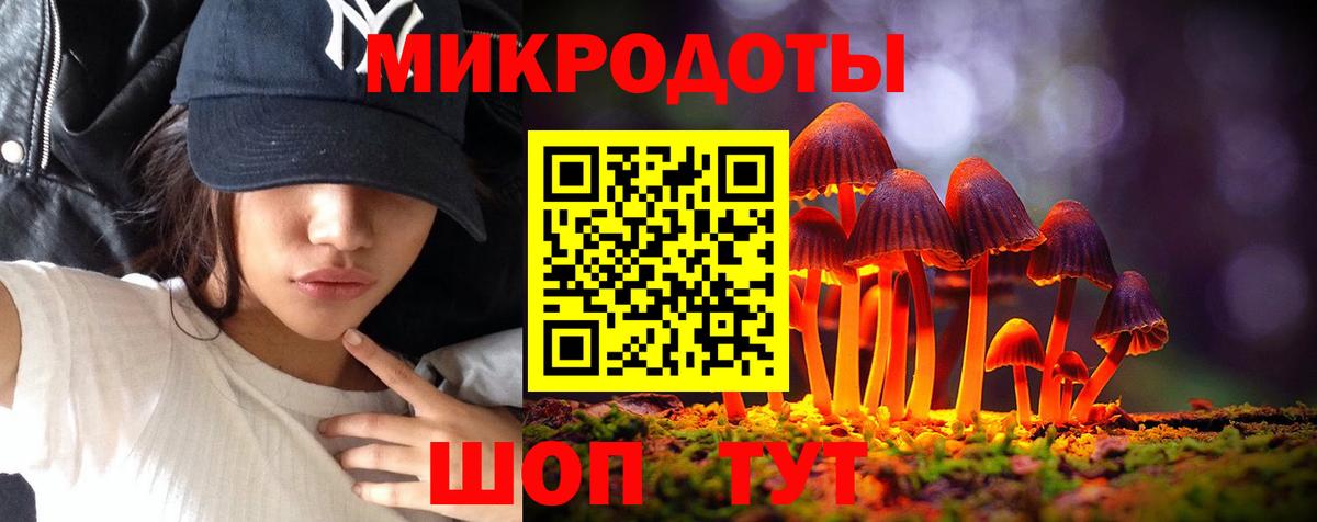 Псилоцибиновые грибы Psilocybine cubensis Лесосибирск